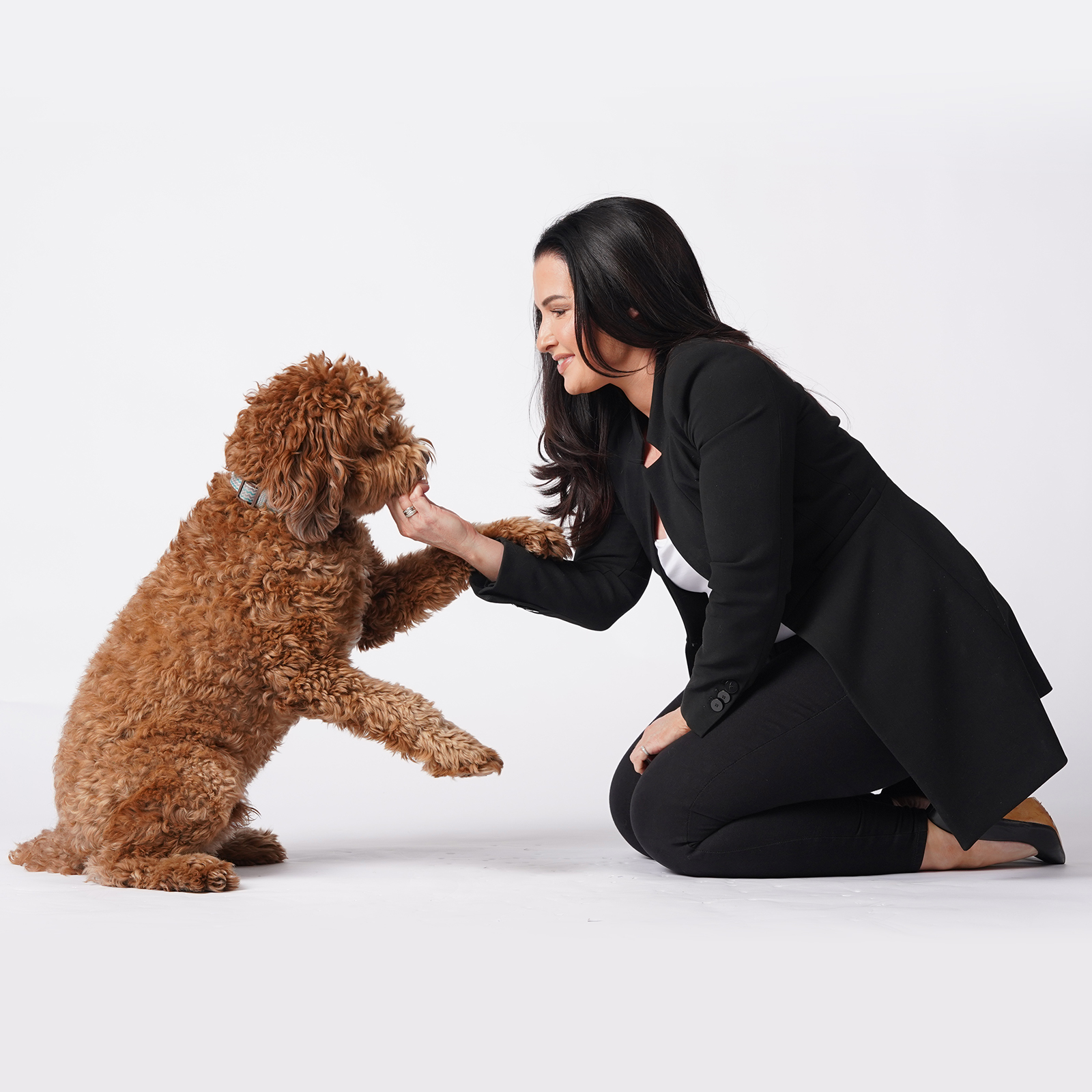 Health and Safety preview image