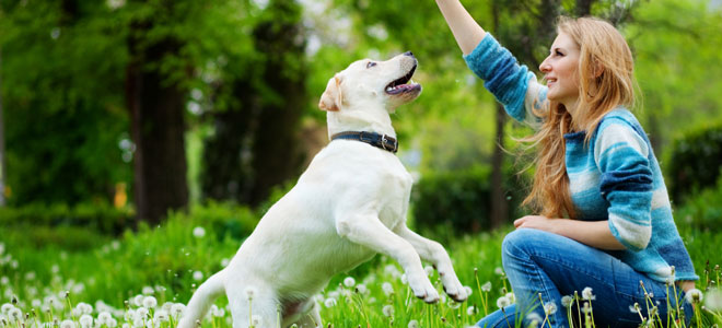 Article One preview image