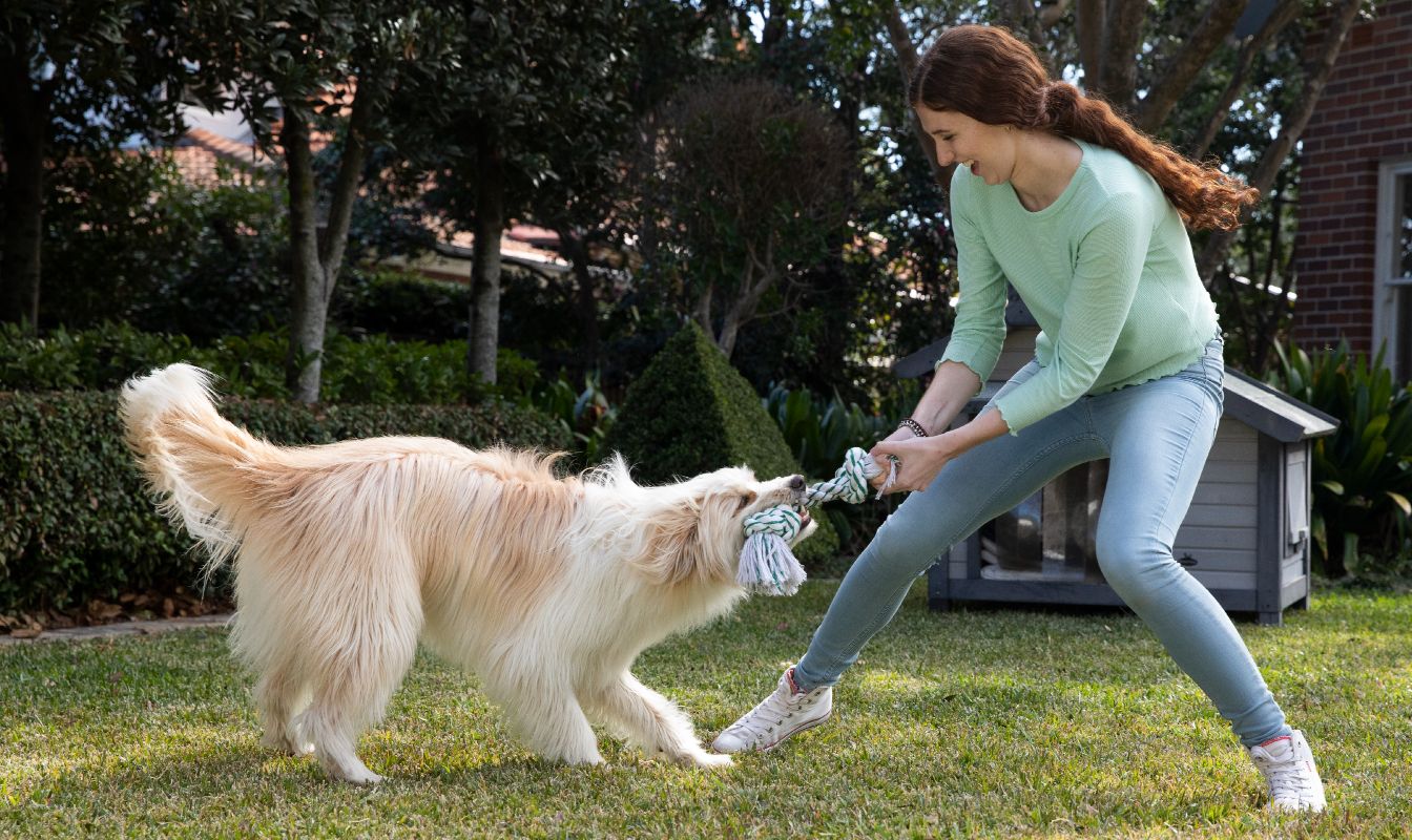 VitaPet preview image