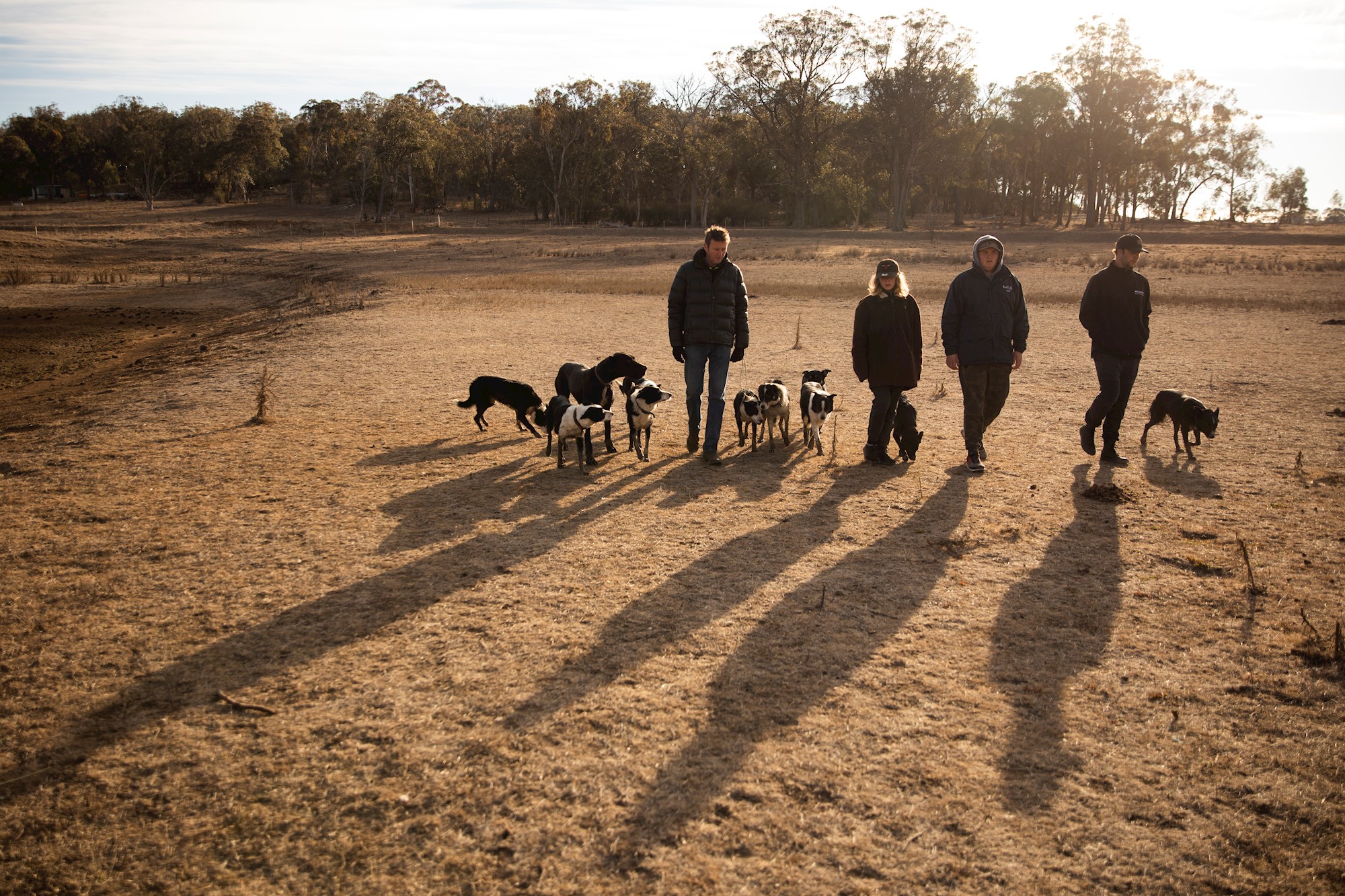 Community preview image